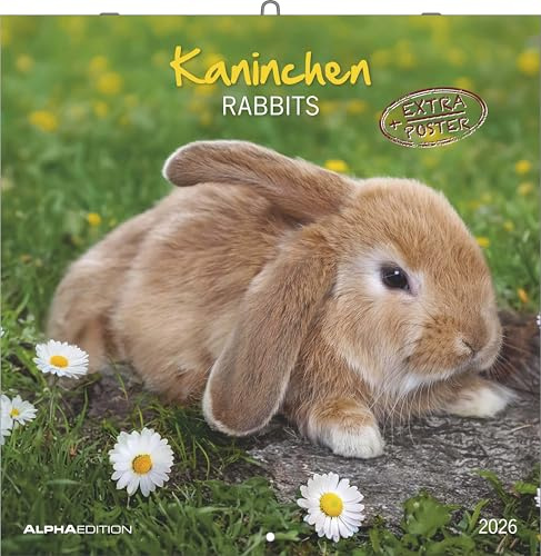 Alpha Edition - Kaninchen Kalender 2026 – 30x30 cm – Bildkalender für Tierfreunde – Niedlicher Wandkalender mit süßen Kaninchenmotiven – Platz für Notizen – Inkl. Poster – FSC-zertifiziert: Rabbits