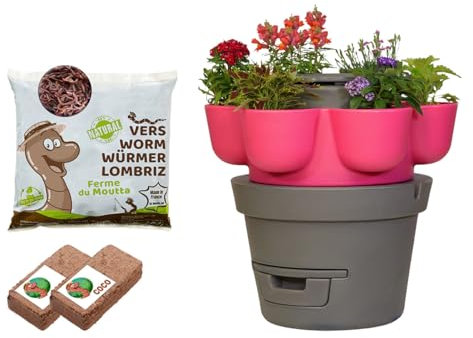 Moutta | WORMgarden Fuchsia 1 Planters + 250 g Compost Worms | Vertical Vegetable Garden with Worm Composter | Grow Your Fruits and Vegetables | Create Your Vegetable Garden and Recycle Your Waste