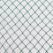 Vielseitiges Teichnetz 4m x 8m grün 17mm x 17mm Masche I Aquagart Laubschutznetz Teich Abdecknetz Vogelschutznetz Gartennetz Baumnetz Reiherschutz Beet-Netz Laubnetz Silonetz Schutznetz Teichabdeckung