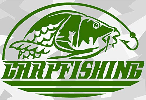 HR-WERBEDESIGN 1x Baits Karpfen Boilies Carp Auto Aufkleber Angeln Köder Fang Rute Hunter Fisch