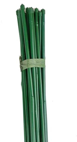 Faura - Pack Tutor Bambú Plastificado - 25 Unidades | 120cm./10-12mm. (Altura x Diámetro)