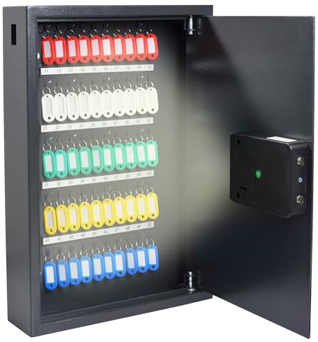 Pavo - Hochsicherheits Schlüsselschrank Smart-WiFi, für 50 Schlüssel, Abmessungen 550 x 380 x 100 mm, inkl. 50 Schlüsselanhänger, dunkelgrau