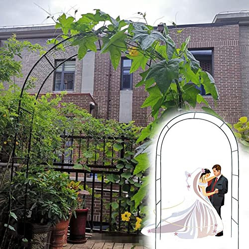 120X220cm Arceau À Rosiers Tuteur Décoration Extérieure, Arche De Jardin Solide 180X220cm 240X220cm Noir, Arcade en Métal Treillis Résistant pour Plantes Grimpantes,Vert,W3M*H2.2M