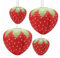 4 Stück Erdbeere Lampions Papier Laternen Erdbeeren Geburtstag Dekorationen Obst Party Kindergeburtstag Deko Rot (2×20cm, 2×30cm)
