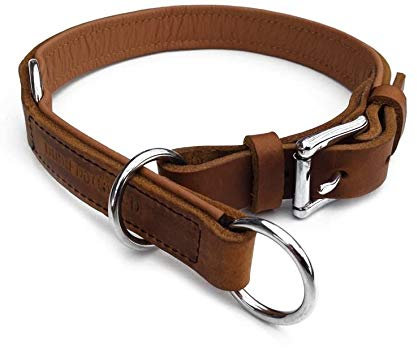Zugstopp Lederhalsband für Hunde Schlupfhalsband Cognac, Chrom Gr. 40