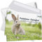 10 Postkarten zu Ostern mit Umschlägen im Set - Osterkarten modern Oster Hase auf der Wiese Osterpostkarten