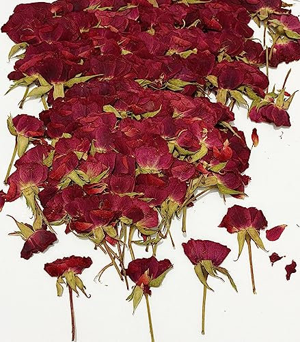 HANDI-KAFU 12 pcs Red Rose with Stem Real Natural Dried Pressed Flowers for Resin Art Craft DIY