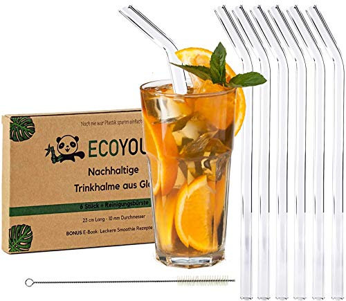 EcoYou Lot de 6 pailles en verre incurvées + brosse de nettoyage en sisal et smoothie recettes pailles réutilisables 23 cm sans plastique