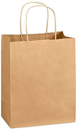 Pakomat Papiertüte 90 g 10 Stück, glatt braun Papiertragetaschen, Braun Geschenktüten mit Henkel, Geschenktüten, Einkaufstasche, aus Kraftpapier mit Griff, für und Party Feiern (18 x 22 cm)