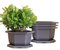MissFox Bonsai Schale 4 Stücke Plastik Blumentopf mit Untersetzer Sechseckiges Bonsai Topf aus Kunststoff Bonsai Trainingstöpfe Kit für Garten Wohnzimmer Büro (25x15cm)