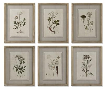 Home ESPRIT Quadro Shabby Chic Piante Botaniche 30x2x40 cm (6 pezzi)