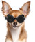 Billionchains Hundebrille für Kleine Hunde UV-Schutz Hundesonnenbrille Einstellbar Hund Motorradbrille für Kleine Hunde/Katzen, Schwarz