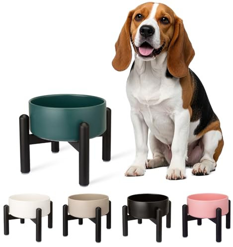 Gamelle pour Chien Surélevée en Céramique - Gamelle en Hauteur avec Support en Acier Inoxydable - Bol pour Petits et Moyens Chiens - 850 ML - Vert