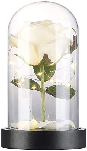 Lunartec LED Rose im Glas: Edle Kunst-Rose mit LED-Beleuchtung in Echtglas-Kuppel, weiß (Beleuchtete, im Glas mit Lichterkette, Pflanzen Licht)