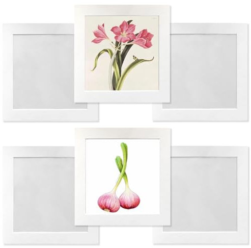 YIYINOE 6er 20x20 cm Quadratisch Bilderrahmen Set,Pappe Bilder Rahmen mit Schutz Kunststoffmembran,Wandmontage Fotogalerie Display für Collage,Fotos,Bilder,Fotorahmen Familie,Weiß