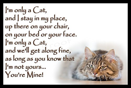 Funny Cat Flexible Fridge Magnet/Magnetic Sign Gift - I'm only a cat