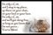 Funny Cat Flexible Fridge Magnet/Magnetic Sign Gift - I'm only a cat