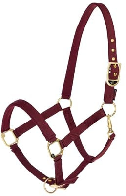 Generisch Halfter Pferd Fancy Pferdehalfter mit goldenen Beschlägen (Bordeaux, Shetty)