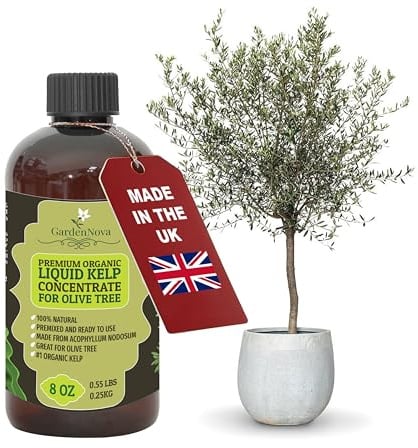 GARDENNOVA Premium Organic Seaweed & Kelp Superfood for Olive Tree Plants - 8 oz - Liquid Kelp Fertilizer Concentrate (Makes 25 Litres)