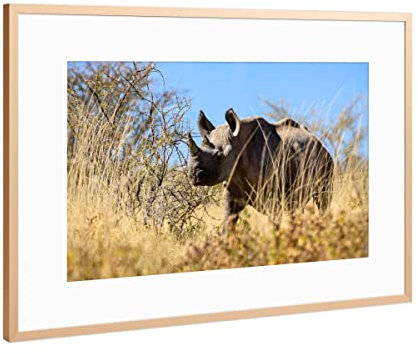 artboxONE Poster mit Rahmen Kupfer 75x50 cm Nashorn in der Savanne von Namibia von Die Welt Tanzt Farben