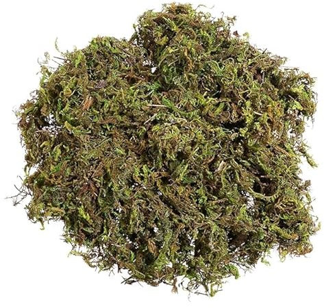 Bybyseno Artificial Moss Decorative Green Moss Fake Faux Green Plants for Patio Flower Plant Crafts Wall Room Green Decor 60g/pack (A - 60g)