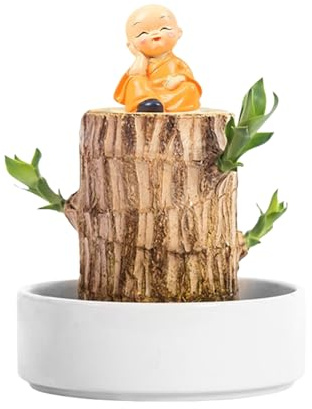 XIAOXIAOYU Madera Brasileña - Planta en Maceta Hidropónica,Figura De Monje con Madera Afortunada para Terraza Sala Jardín Escritorio Balcón Terrario Dormitorio