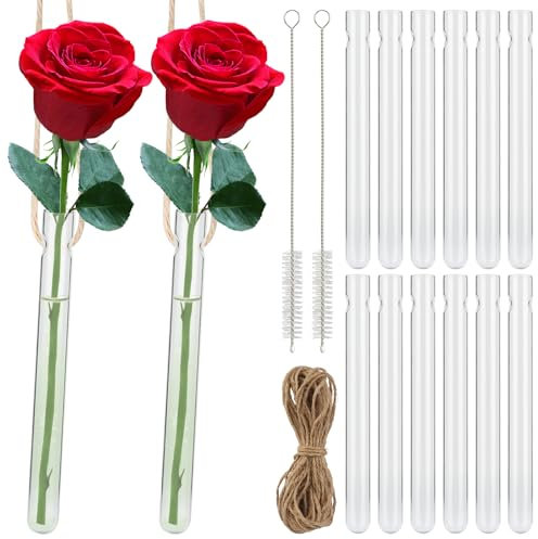 12 Pièces Vase Suspendus, Vases en Tube à Essai avec Trous, Vase Transparent, Tube à Essai en Vase en Verre Transparent Créatif pour la Maison, Le Bureau, la Décoration de Mariage (1.5 * 15 cm)