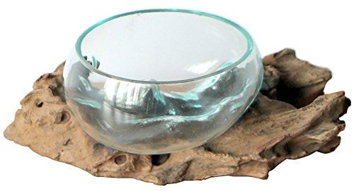 Wogeka - Glas-Schale Ø 12-14 cm auf Wurzel-Holz - im modernen Style als Geschenk-Idee zur Dekoration Schale S