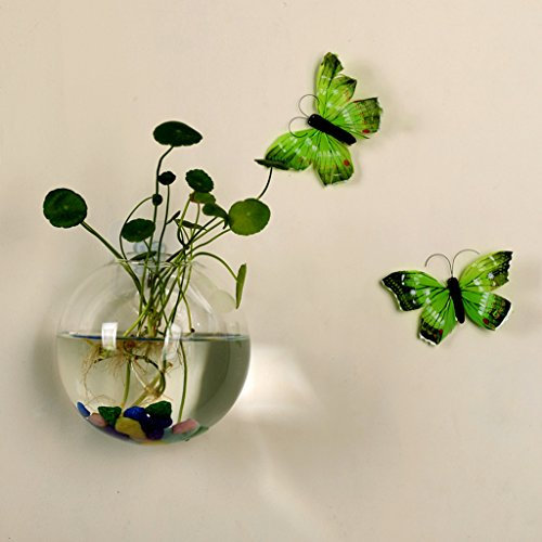 Vase hydroponique en verre à suspendre au mur pour terrarium