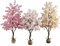 Arbre Artificiel Arbre De Fleurs De Cerisier Rose Blanc Vert En Pot Faux Avec Panier/fausses Plantes, Higt 50 70 110 150 180 200 Cm Très Grands Bonsaïs/arbre Décoratif En Plastique, Japonais/simulatio