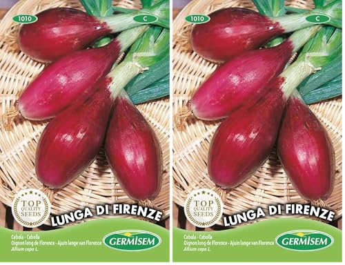 Germisem Lunga di Firenze Semillas de Cebolla 3 g (Paquete de 2)