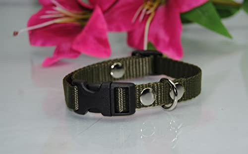 Halsband Nylon 15mm Oliv Dackel