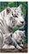 Große Strandtücher XXL Badetuch Schnell Trocknend Wasseraufnahme Extra Microfiber,3D Tiger Weiß Motiv Handtuch Erwachsene Kinder Jugend Herren Erwachsene Kuscheldecke Surfer (150 x 200 cm)