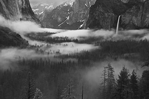 GEBIRGE Fototapete VLIES-250x186 cm (6113A)-Natur Berge Wald Bäume Schwarz Weiß Fotokunst Wandtapete-Inkl. Kleister-Vliestapete Bild Dekoration Wand-Dekor Moderne Motiv-Tapete Panorama Poster XXL