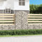 INLIFE Gabion avec arc haut, 100 x 50 x 160/180 cm, en fer galvanisé, 19,95 kg, 153438