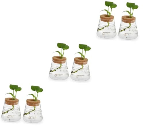 Alipis 3sets Hydrokultur Vase Glas Desktop Vase Terrarium Für Home Dekoration 2 Stücke * 3