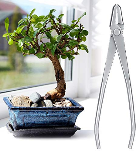 Jonlaki Garden Care Cortador de Perillas de Acero Inoxidable para Jardinería Bonsái y Plantas de interior: Diseño Ergonómico de para un Corte Preciso