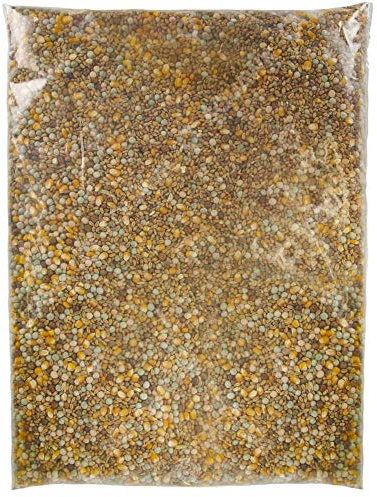 SQUAWK Four Seasons Pigeon Corn | Premium Grade Natural Food Mix | Rich in Nutritious Oils, Vitamins and Minerals | Perfect Year-Round Wild Bird Seed Feed | High in Protein, Energy & Fibre (10kg)