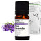 Aroma Labs - Lavanda - Aceite Esencial Orgánico - Quimiotipado y Certificado AB - 5 mL