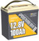 Power Queen Batterie 12V 100Ah MINI LiFePO4, Batterie LiFePO4 en Petite Taille avec 100A Protection BMS et 4000-15000 Cycles Profonds, sans Entretien Parfait pour Camping-Car, Système Solaire, Bateaux