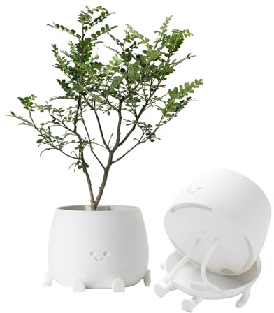 TOPOLA Happy Face Planter, 5.2 Inches Plastic Plant Pot, Self Watering Plant Pot with Drainage Holes for Indoor Outdoor, Succulent Pot, Funny Flower Pot, White