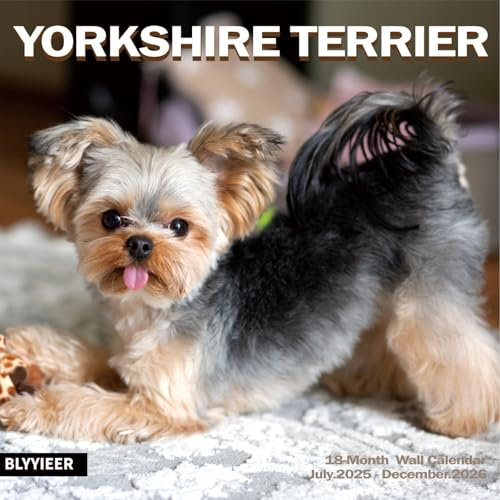 Wandkalender 2025–2026, Yorkshire Terrier, Wandkalender, 30,5 x 61 cm, offen, Familienplaner, Kalender mit Yorkshire-Bildern, für Hundeliebhaber