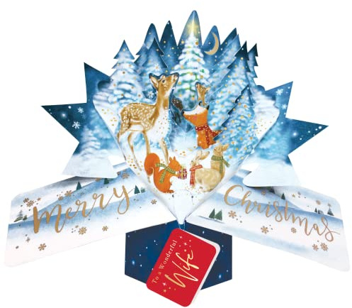 Wife Christmas Card 3D Woodland Animals Pop Up Christmas Card Xmas Cards POP064X16