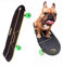 KIDDEX Hunde-Skateboard mit Surfständer, Haustier-Skateboard, Skateboard mit bunten PU-Rädern für Englisch-Französische Bulldogge, Starke Brettoberfläche, Schwerkrafthalterung 74x27cm
