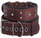 Hundehalsband aus Leder, extra dick und breit gepolstert, weiches echtes Leder, sehr haltbar für große und mittelgroße Hunde (Braun, M)