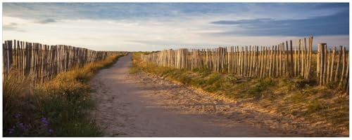 Wallario Küchenrückwand selbstklebend 115 x 50 cm, Motiv: Sandweg an einem Strand in Frankreich, Bretagne | Spritzschutz abwischbar & pflegeleicht