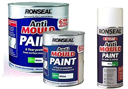 Ronseal 6 Year Anti Mould Paint Matt White 750Ml