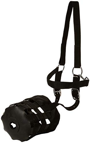 Cwell Equine New Nylon grasen Maulkorb Pferd COB oder Pony Gras Maulkorb alle Größen schwarz (Full)...