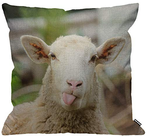 HGOD DESIGNS Kissenbezug Schafe Lustig Schafe Portrait Von Schafe Anzeigen Zunge Kissenhülle Haus Dekorativ Für Männer/Frauen/Jungen/Mädchen Wohnzimmer Schlafzimmer Sofa Stuhl Kissenbezüge 45X45cm