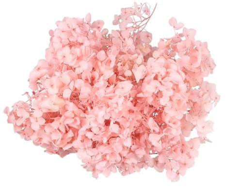 Amosfun 1 Confezione Fiori Secchi Ortensia Naturali per Decorazioni da Te per Unghie e Rosa